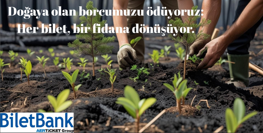 Ekran görüntüsü 2025-08-08 181236